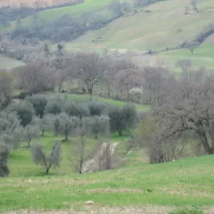 Farma Casa Fibbianello